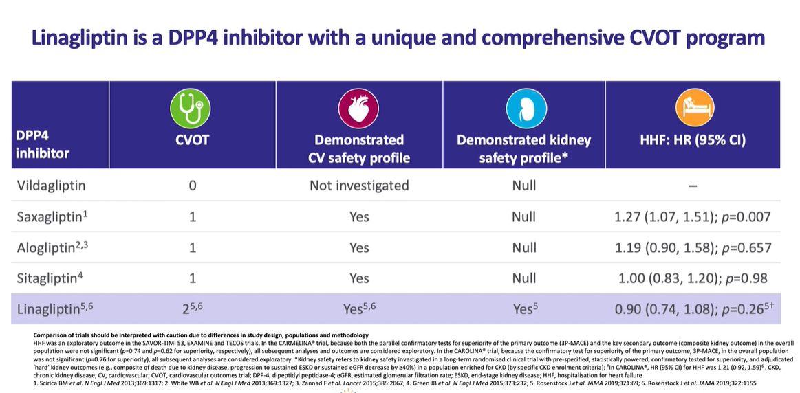 /my/metabolic/linagliptin/convenience/carmelina-and-carolina-extensive-dataset-unique-cvot-programme