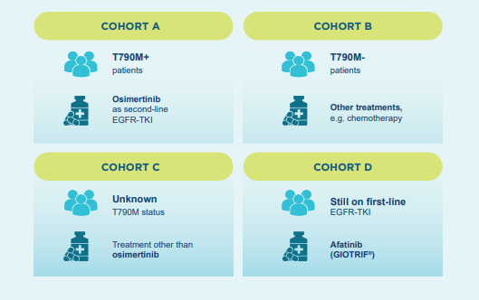 /sg/oncology/giotrif/sequencing/totality-outcome-afatinib-giotrif-sequential-treatment-patients-egfrm-nsclc