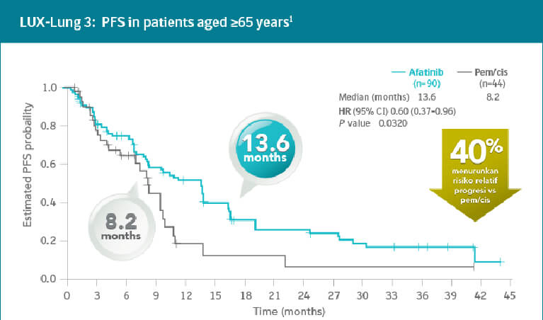 /id/oncology/giotrif/efficacy/giotrif-pada-pasien-pasien-berusia-lanjut