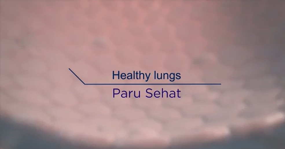 /id/fibrosis-paru/ofev/mekanisme-kerja/cara-kerja-nintedanib-dalam-menghambat-fibrosis-paru