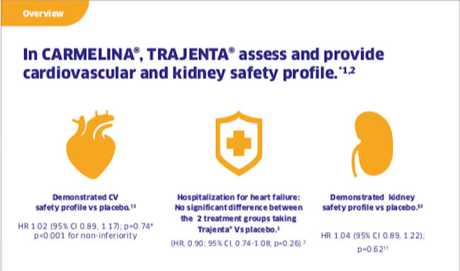 Carmelina Trial Overview 