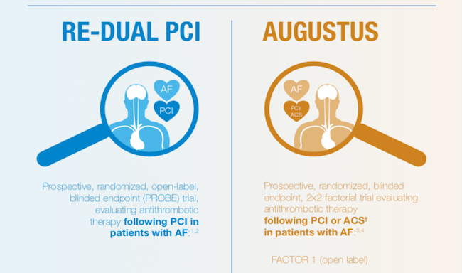 RE-DUAL VS AUGUSTUS Infographic