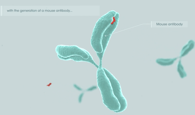 Praxbind MOA