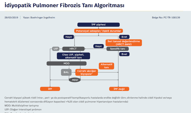 İdiyopatik Pulmoner Fibrozis Tanı Algoritması