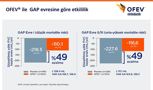 Gap İndeksi