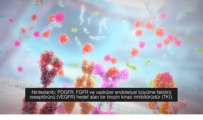 Nintedanib Etki Mekanizması Video