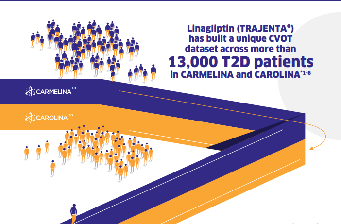 Linagliptin is safe across T2D patient age groups, including the Elderly