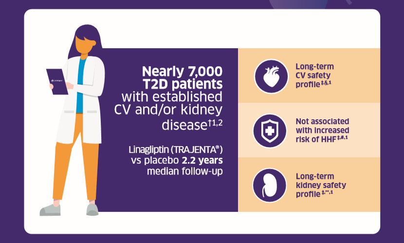 Linagliptin is safe across T2D patient age groups, including the Elderly