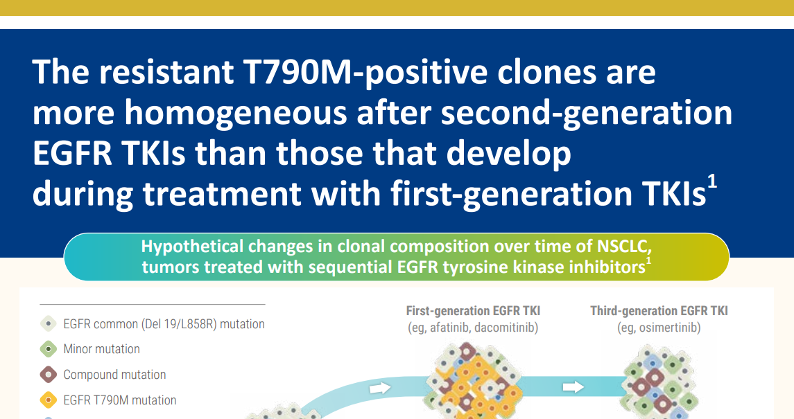 /kr/oncology/giotrif/sequencing/giotrif-based-current-real-world-and-clinical-trial-evidences-optimal-regimen