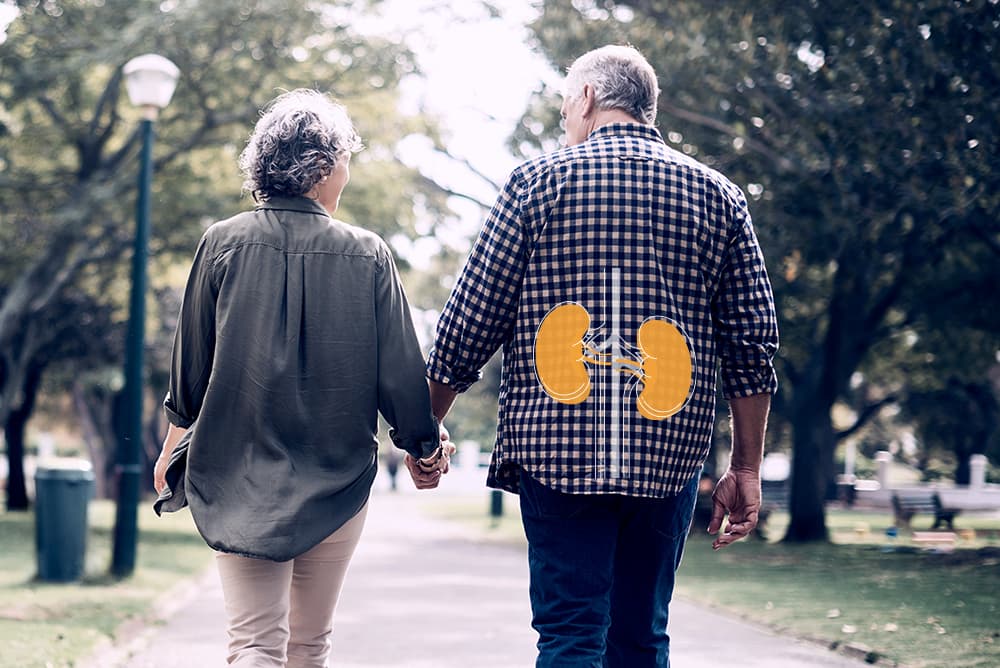 Linagliptin (Trajenta®) Efficacy by Kidney Function